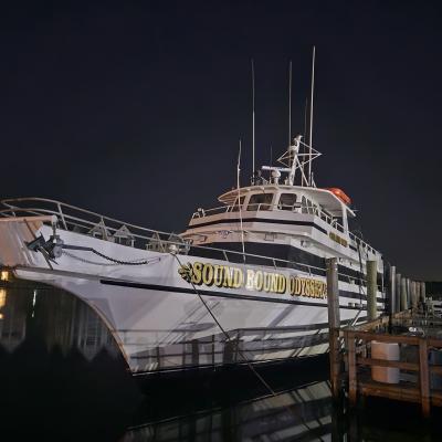 Sound Bound Party Nyc Cruises Odyssey